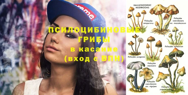 эйфоретик Дмитриев