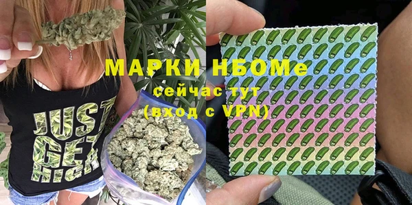 эйфоретик Дмитриев